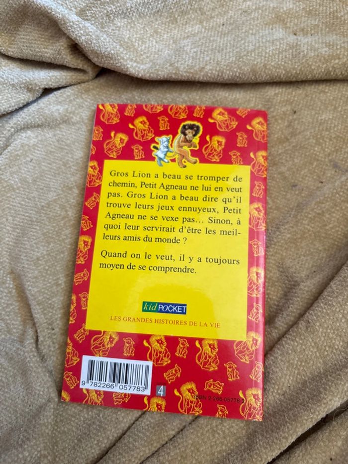 Livre lion - photo numéro 2