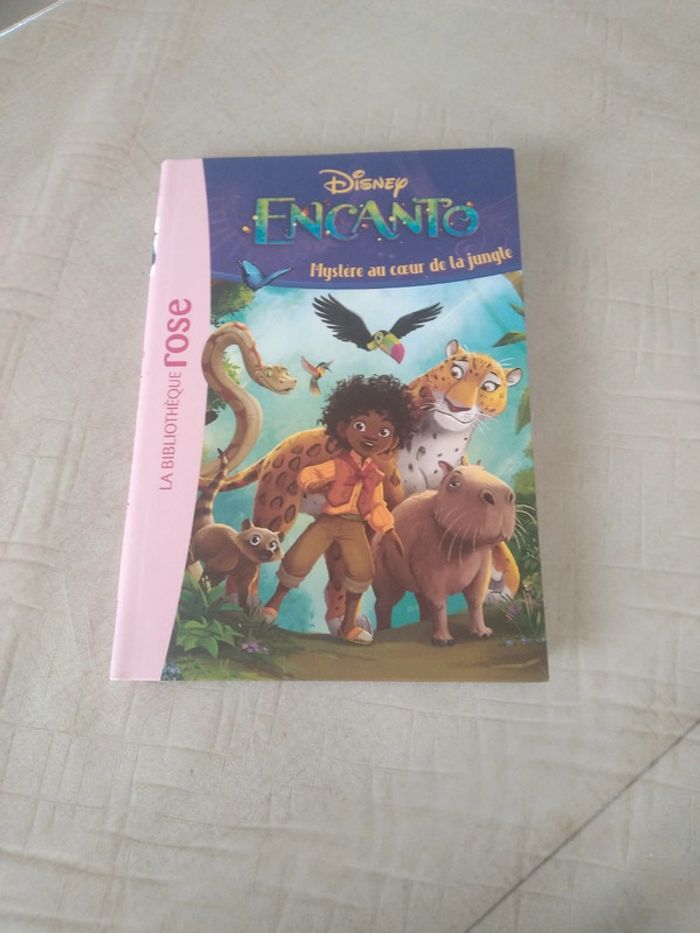 Disney Encanto bibliothèque rose