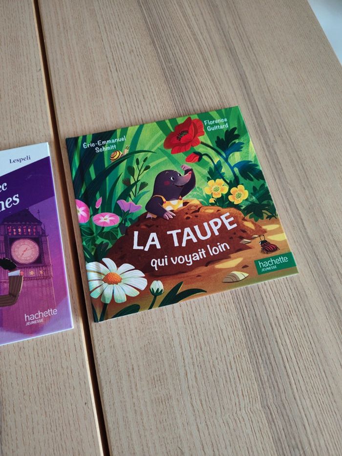 Lot de deux livres jeunesse pour 1€ Katherine Pancol Lespelu - photo numéro 3