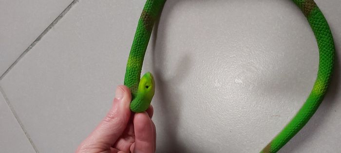 Serpent - photo numéro 2