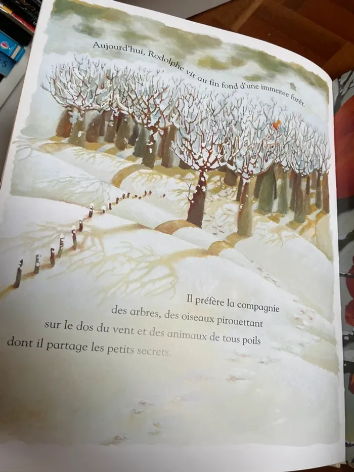 Le géant aux oiseaux - photo numéro 3