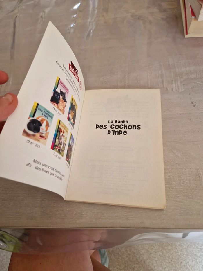 La bande des cochons d'inde - photo numéro 6