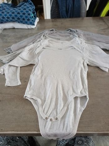 Lot 5 bodies gris ml