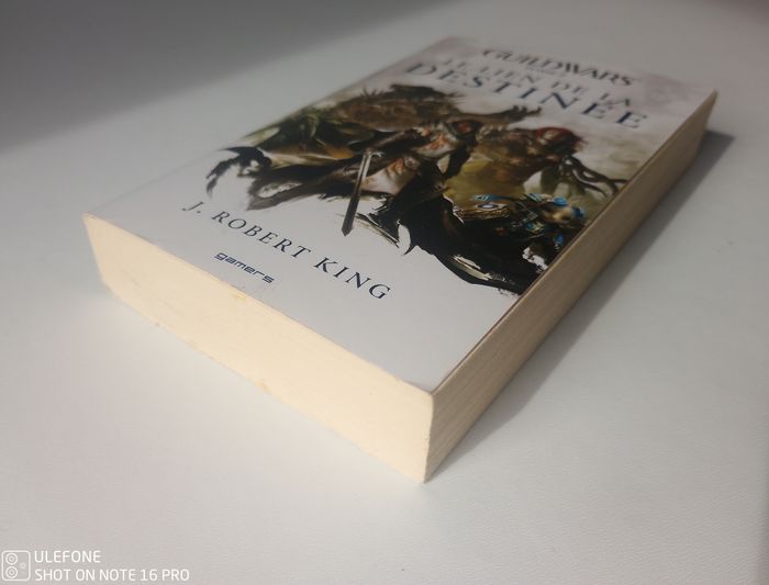 Livre Guildwars Tome 2 : Le lien de la destinée de J. Robert King ArenaNet - photo numéro 4