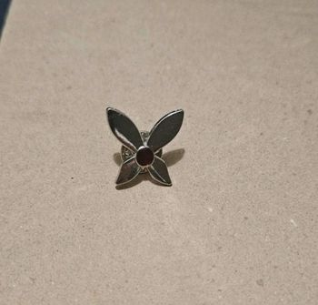 Bijou Miraculous du papillon pim's – univers Ladybug (livre)