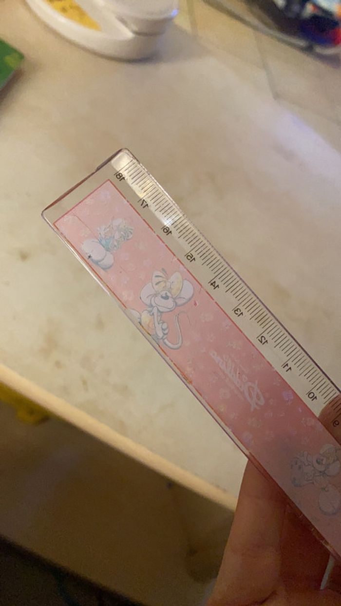 Regle Diddle - photo numéro 4