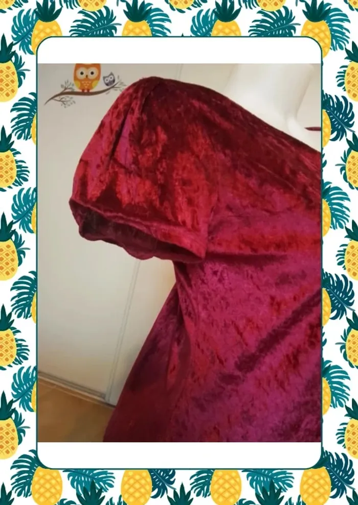 Robe velour - photo numéro 5