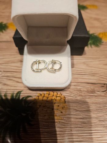 Boucles d'oreilles neuve