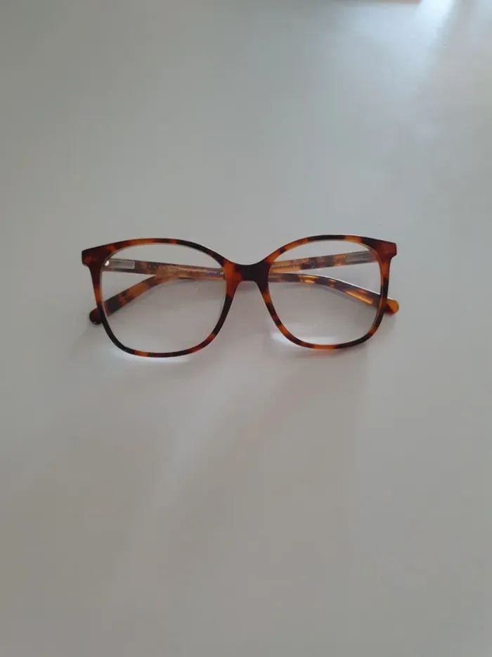 Paire de lunette pour monture.