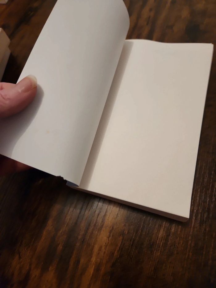 Livre : un dieu dans la poitrine - photo numéro 5