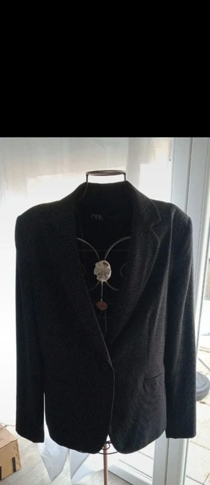 Veste Zara