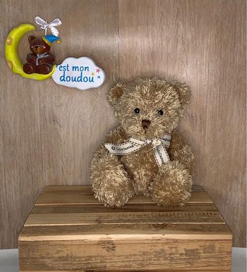 LLC01 ours 🐻 lulu castagnette