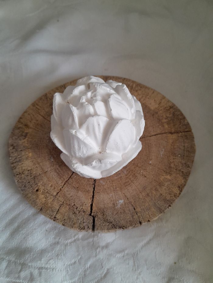 Nénuphars en plâtre à peindre