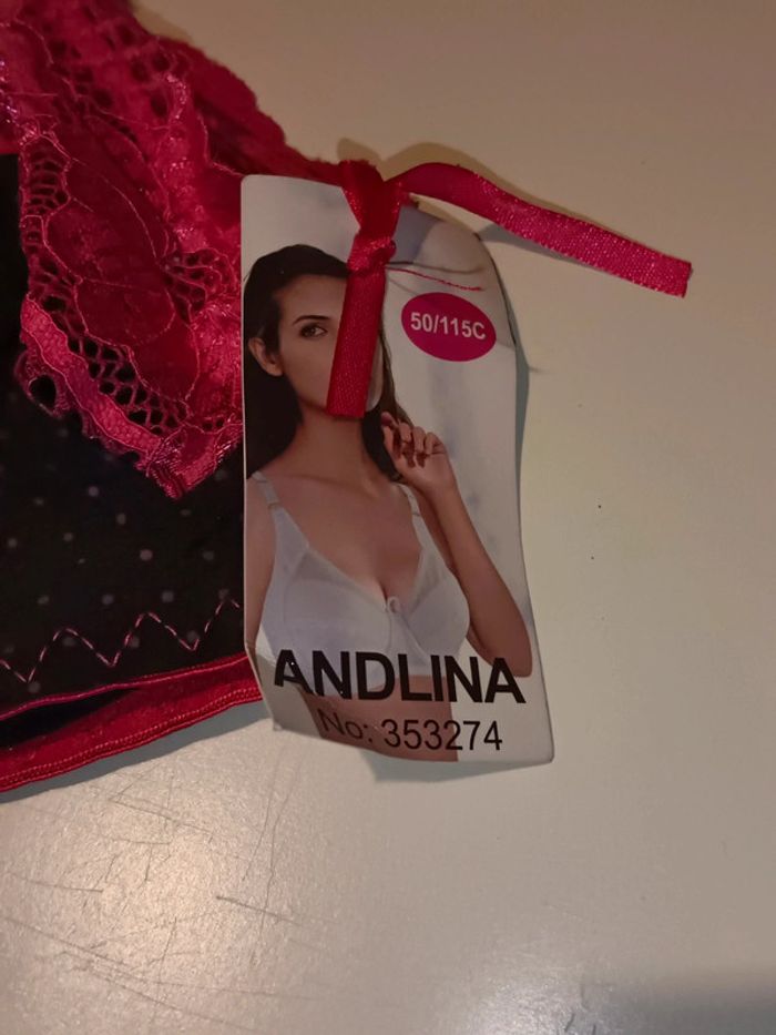 Soutien gorge - photo numéro 2