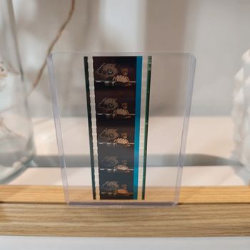 Pellicule demon slayer Zenitsu + Inosuke