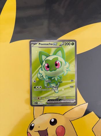 Poussacha 251/217 – Héros Transcendants 