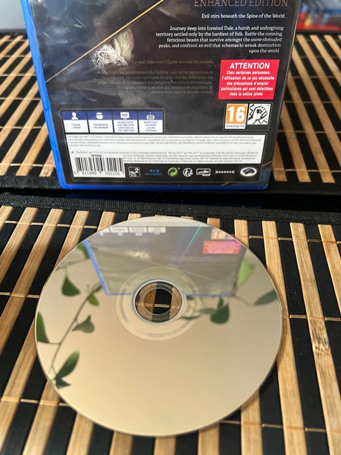 Jeu de ps4 torment icewind - photo numéro 3