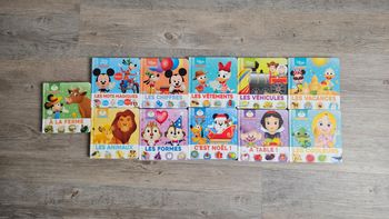 Lot 11 livres Disney Mes premiers mots Hachette jeunesse