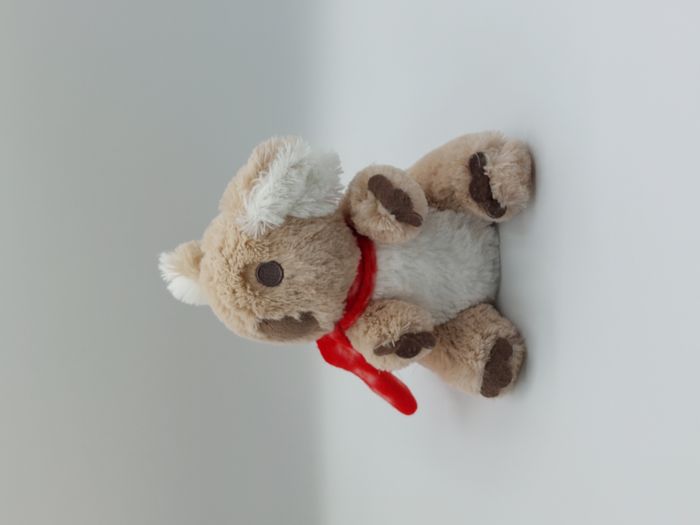 Doudou peluche Koala beige marron blanc PRIMATIS écharpe rouge 18 cm TTBE - photo numéro 2