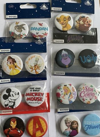 Lot 8 2x Badges Disney Disneyland Mickey Belle Elsa Roi Lion Panpan Alice Ursula