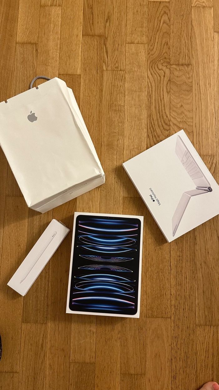 IPad Pro 11 (4e génération) 2024 - 256 Go - photo numéro 3
