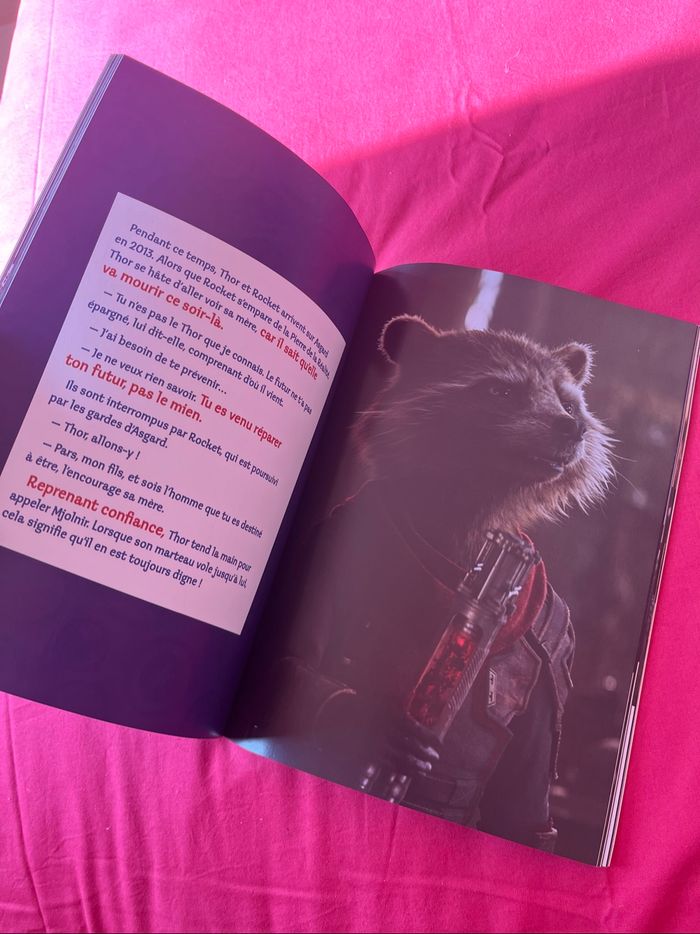 Livre - photo numéro 3