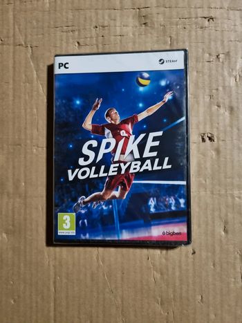 Spike Volleyball pour PC