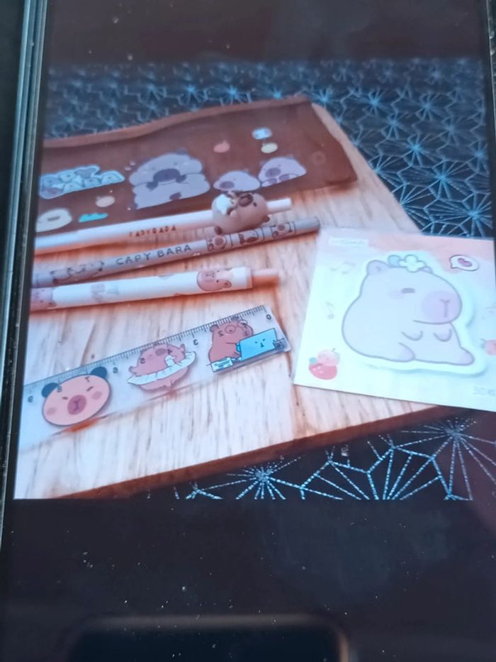 Trousse Capybara et ses accessoires - photo numéro 2