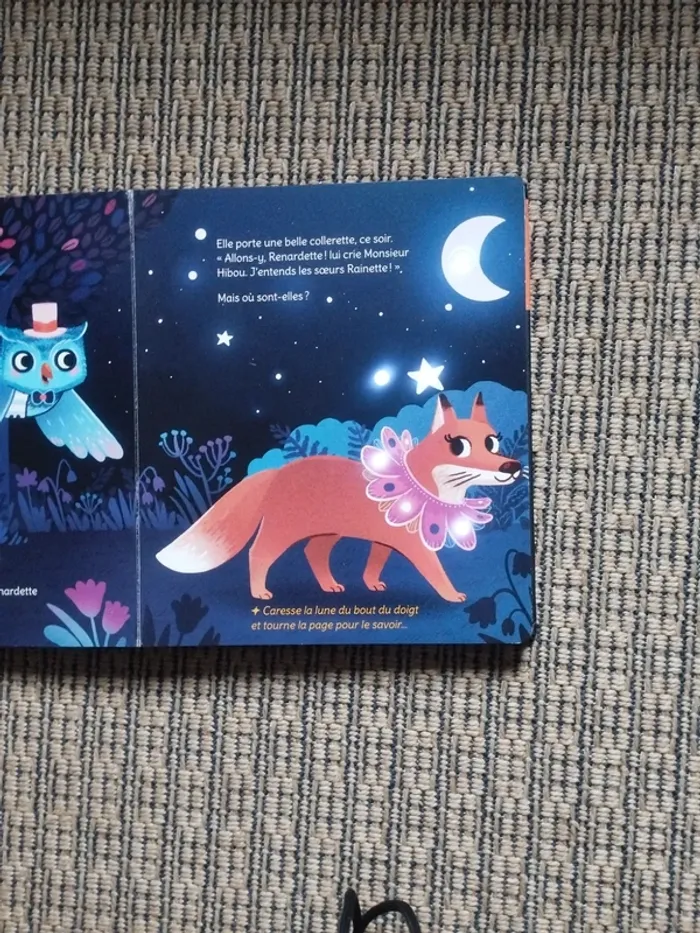 Livre lumineux Monsieur Hibou et la Forêt - photo numéro 5