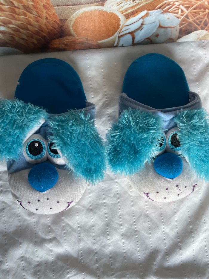 Haussons 30 - photo numéro 2