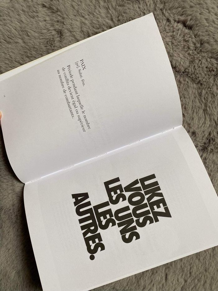 Dictionnaire optimiste - photo numéro 4