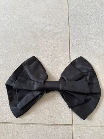 Grand Noeud papillon, très bon état, 25cm de longueur