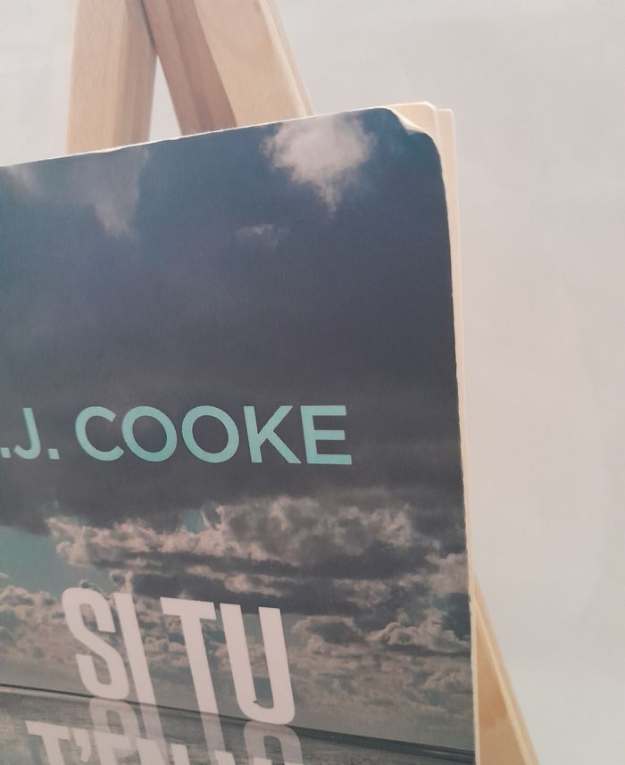 Si tu t'en vas CJ Cooke - photo numéro 2