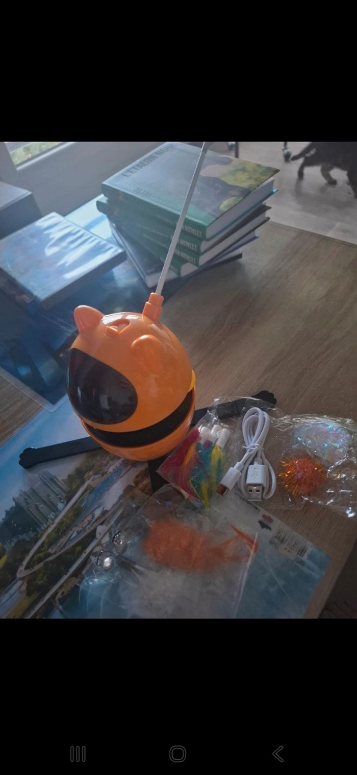 Jeu électrique pour animaux