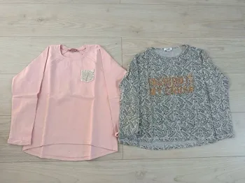 Lot de 2 pulls fille taille 10 ans