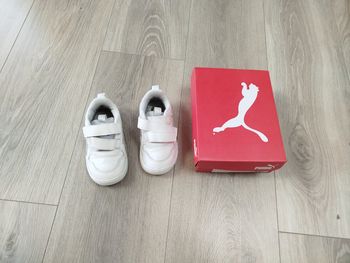 Basket puma pointure 22