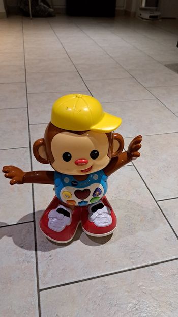 Titi ouistiti jeu d'éveil