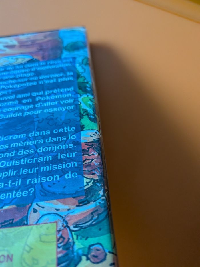 DVD pokemon Donjon Mystère - photo numéro 4