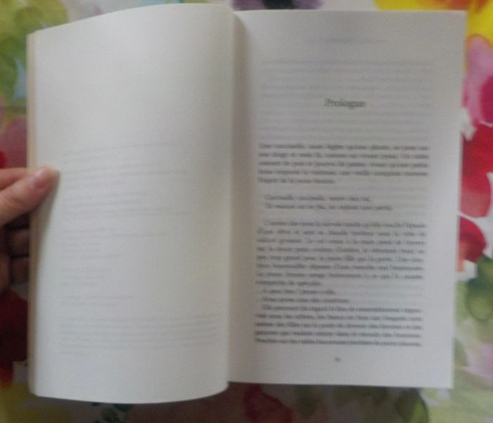 Les chemins de la liberté de Lisa Wingate Ed. Les Escales - photo numéro 5