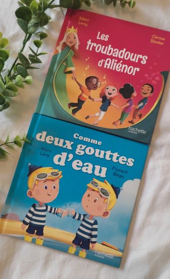 Livre Les Troubadours d'Alienor et Comme deux gouttes d'eau