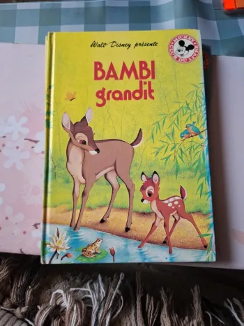 Bambi grandit