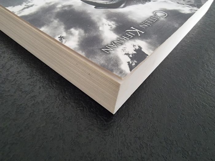 La légende de Beowulf de Caitlín Kiernan - photo numéro 9