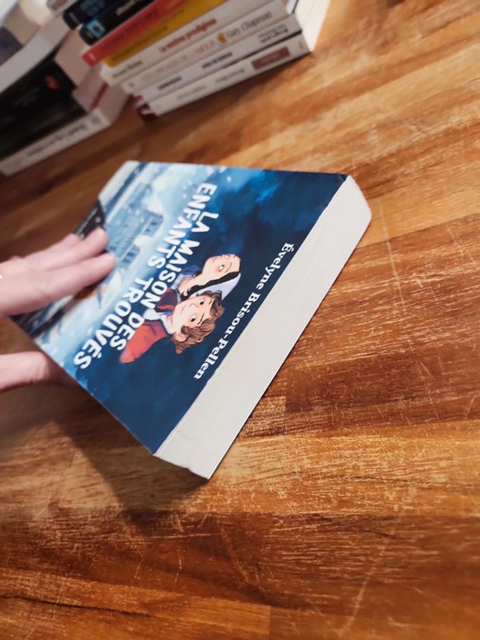 Livre : La maison des enfants trouvés - photo numéro 5