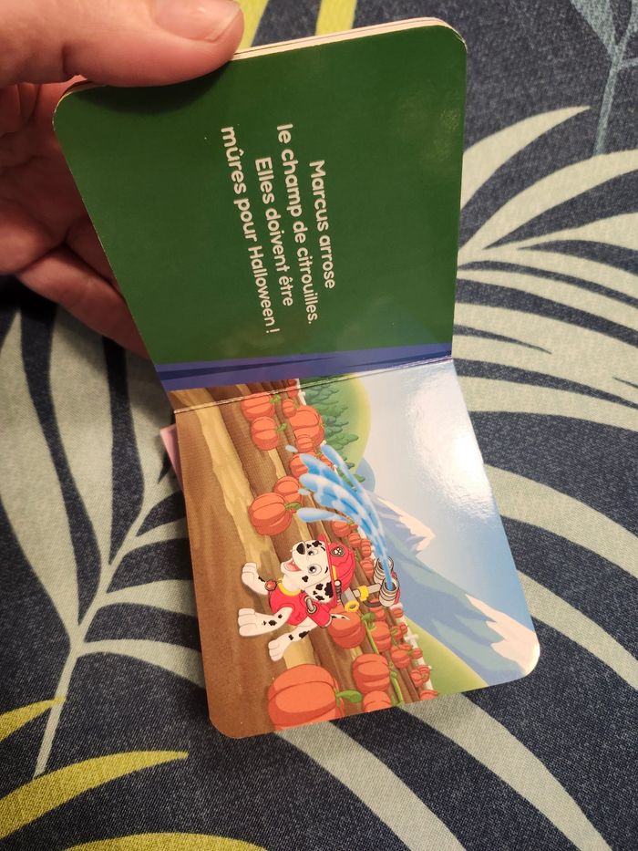 Lot 5 mini livres enfant pokemon pat patrouille peter pan - photo numéro 8