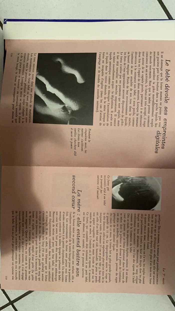 Livre en attendant bébé - photo numéro 10