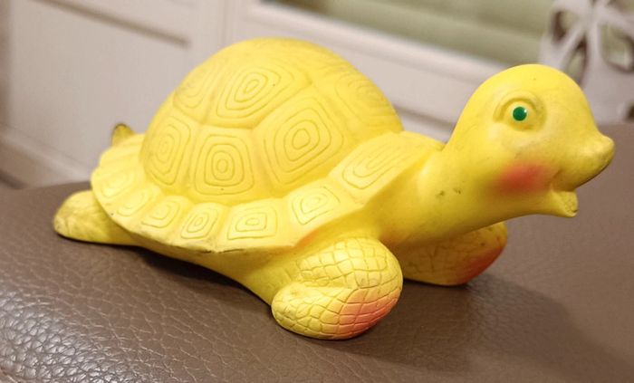 Tortue delacoste - photo numéro 4