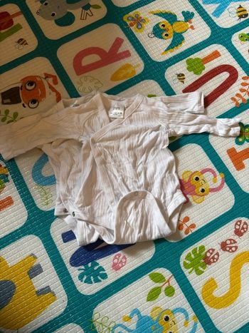 2 body manche longue