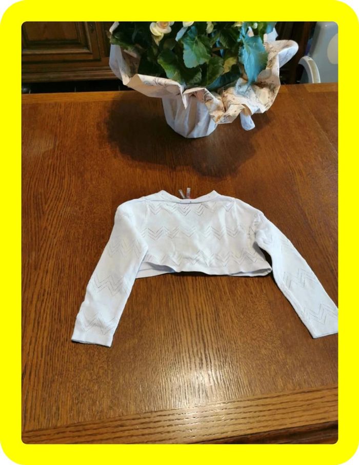 Bolero orchestra - photo numéro 5