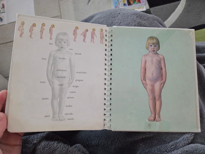 Livre le corps - photo numéro 5