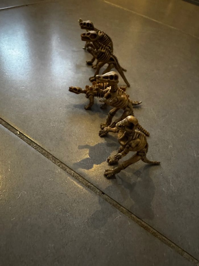 Lot de 6 squelettes de dinosaures: 1 Pachycephalosaure / - photo numéro 3